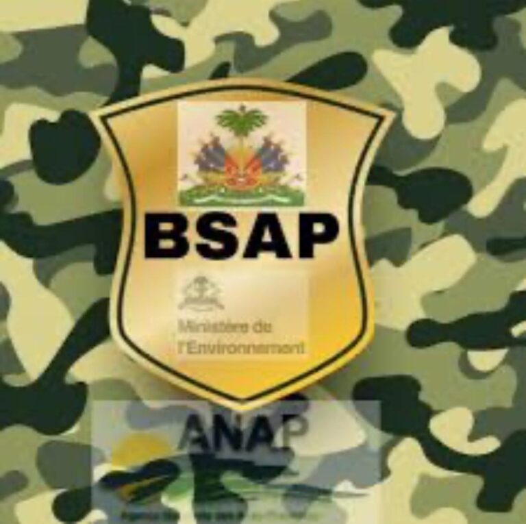 PNH et BSAP, quelle collaboration possible ? 