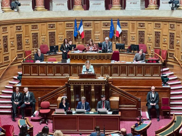 Vote unanime, par le sénat français d&rsquo;une résolution pour la sécurité en Haïti