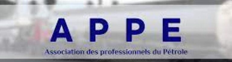 Le secteur pétrolier au bord d&rsquo;une paralisie totale en raison de l&rsquo;insécurité, alerte APPE