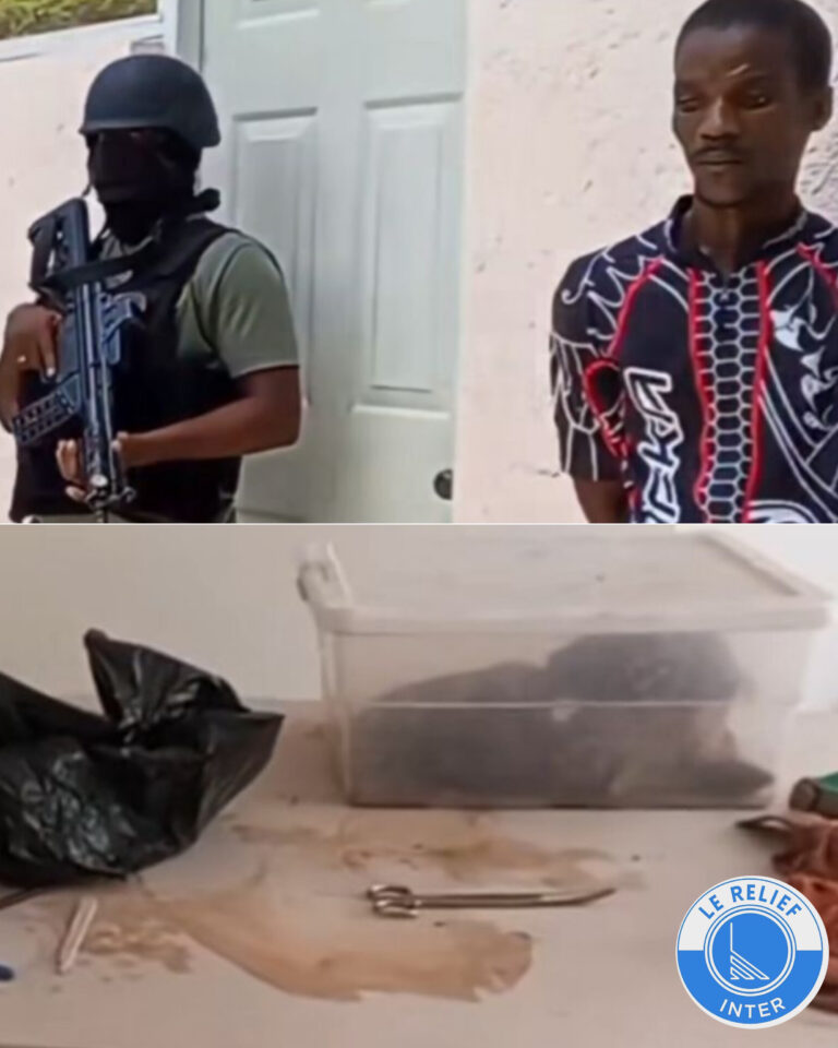 Découverte de restes de cadavres suspectés d’êtres liés à un réseau de trafiquants d’organes humains