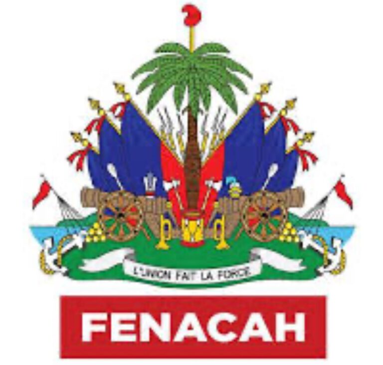 AVANT-PROJET DE LA CONSTITUTION : LA FENACAH S&rsquo;EMBARQUE