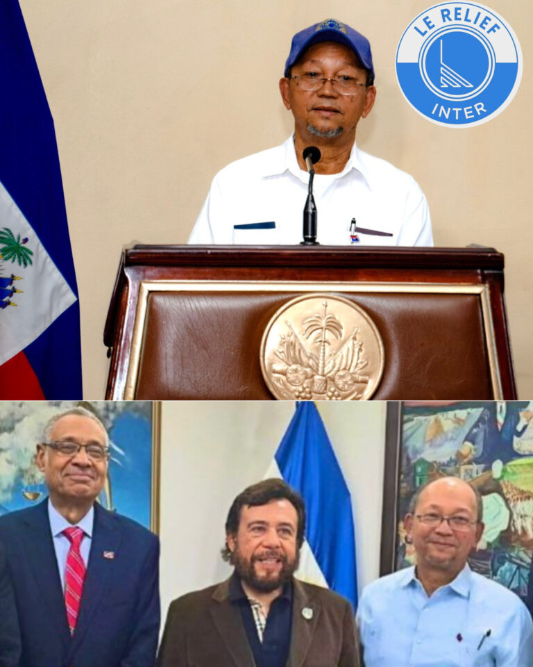 Leslie Voltaire retourne de son voyage en Amérique latine avec sa valise chargée de promesses sans engagement