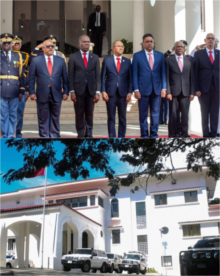 Haïti en transition : entre avancées et défis. Le Conseil présidentiel de transition à l’épreuve de l’histoire