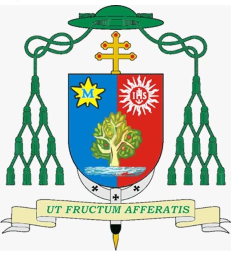 Kidnapping à l&rsquo;orphelinat Sainte -Hélène de Kenskoff: l&rsquo;archevêché de port-au-prince révolté»