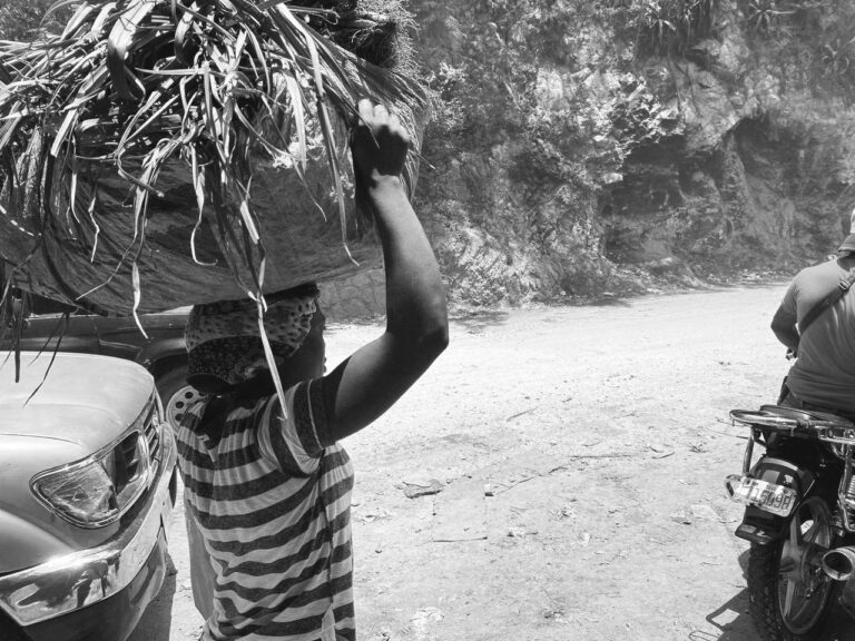 Haïti: Crise sécuritaire et économique: Impact sur le secteur informel, quel avenir pour les Madan Sara?