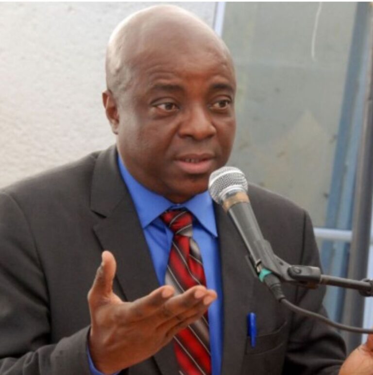 La «IAPA» condamne les menaces contre le journaliste haïtien Joseph Guyler C. Delva