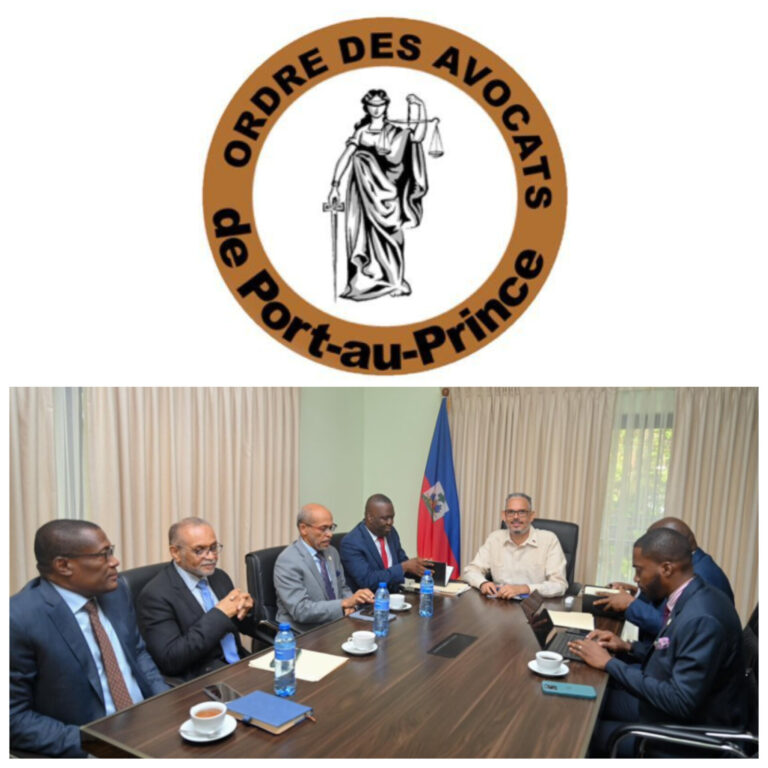Réforme constitutionnelle: le Barreau de Port-au-Prince alerte sur une «fraude constitutionnelle»