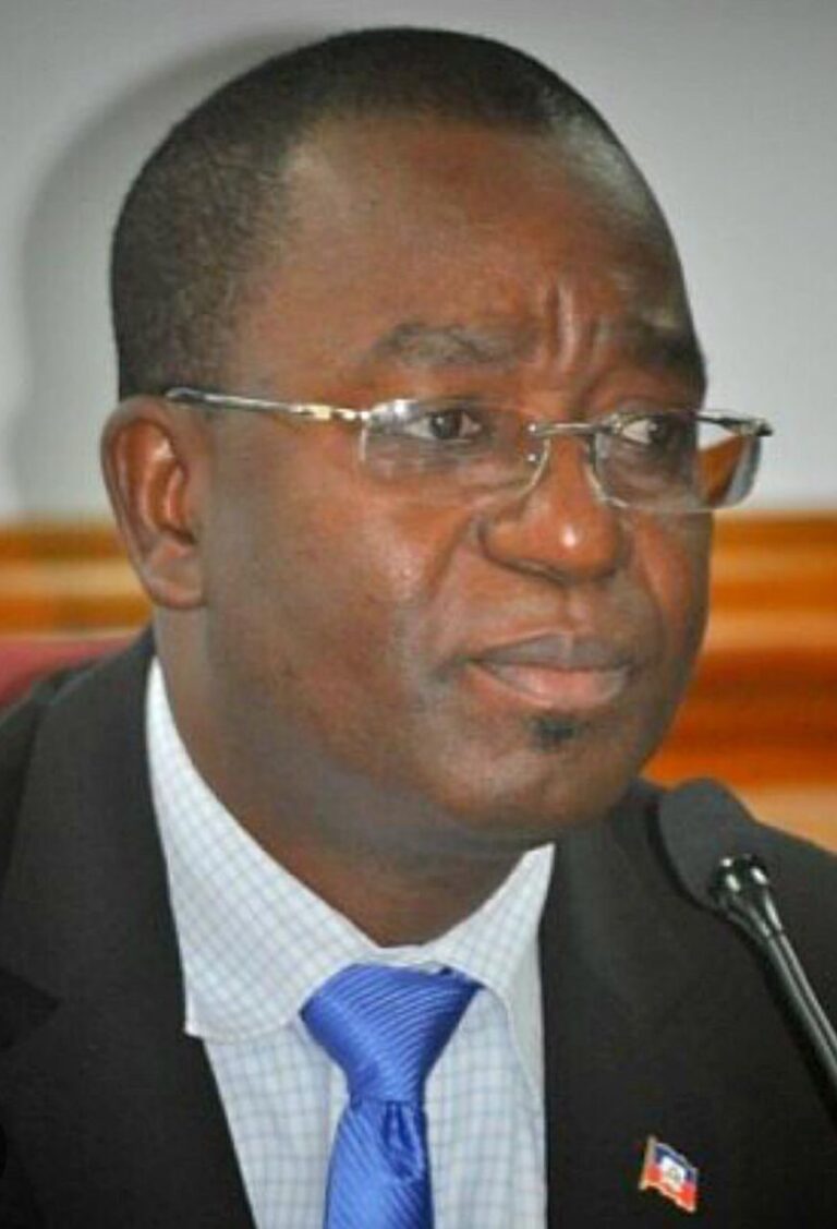 Comment finir avec la transition : Wilson Laleau esquisse des propositions de sortie du boucle infernal