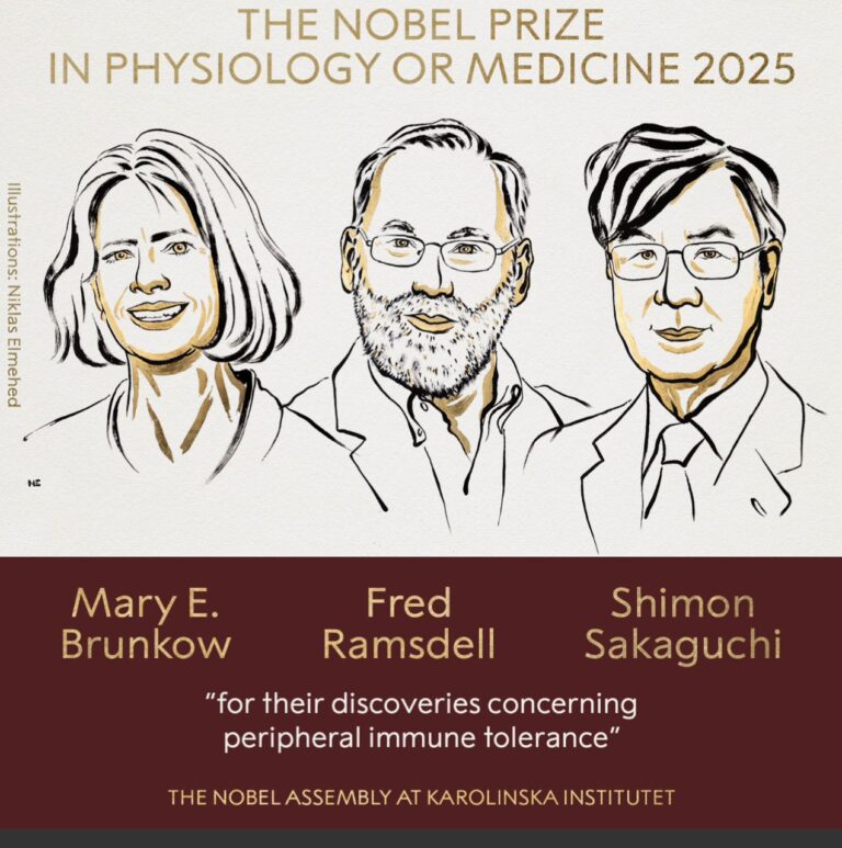 Saison des Nobel 2025 : la science, la littérature… et la paix en attente