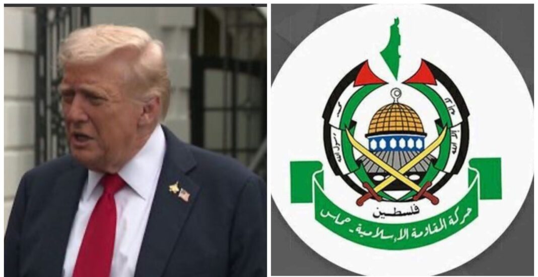 InShot_20251003_222522799