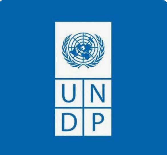 Référendum constitutionnel annulé : Quand le PNUD exige des comptes