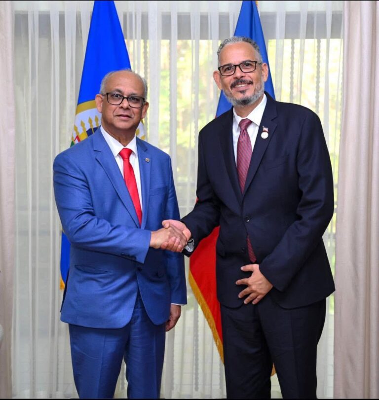 L’OEA se dit prête à soutenir Haïti pour la sécurité et les élections