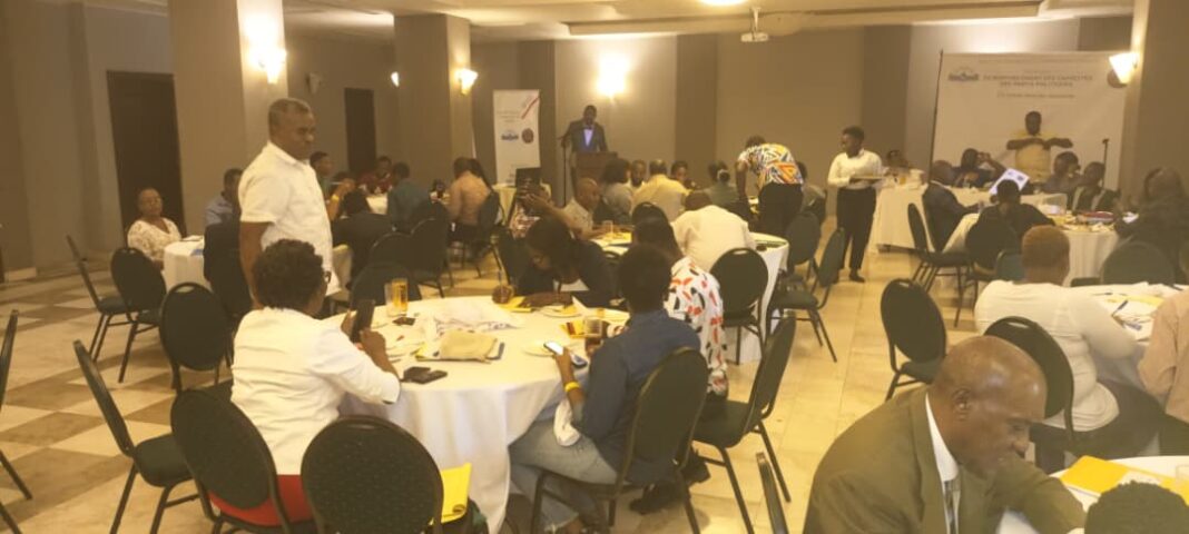 Haïti: Une formation pour les partis politique qui révèle autant les progrès que les limites institutionnelles