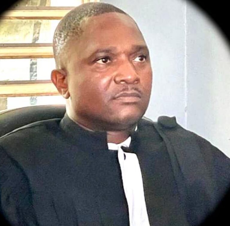 𝐋𝐞 𝐂𝐨𝐦𝐦𝐢𝐬𝐬𝐚𝐢𝐫𝐞 𝐝𝐮 𝐆𝐨𝐮𝐯𝐞𝐫𝐧𝐞𝐦𝐞𝐧𝐭 𝐩𝐫ès 𝐥𝐞 𝐓𝐫𝐢𝐛𝐮𝐧𝐚𝐥 𝐝𝐞 𝐏𝐫𝐞𝐦𝐢𝐞è𝐫𝐞 𝐈𝐧𝐬𝐭𝐚𝐧𝐜𝐞 𝐝𝐮 𝐂𝐚𝐩-𝐇𝐚𝐢ï𝐭𝐢𝐞𝐧, 𝐄𝐧𝐨 𝐙é𝐩𝐡𝐲𝐫𝐢𝐧, 𝐦ér𝐢𝐭𝐞 𝐝’êt𝐫𝐞 𝐫é𝐯𝐨𝐪𝐮é