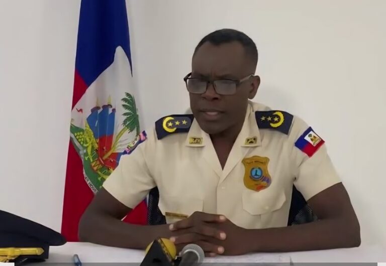 Des fusils d&rsquo;assaut et de milliers de cartouches saisis par la police