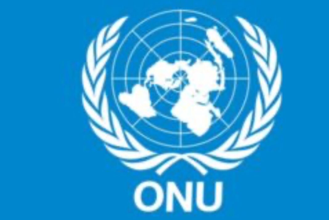 Les Nations Unies attirent l’attention sur l’exploitation des enfants par les gangs armés