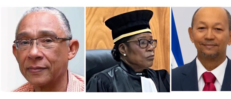 Leslie Voltaire, Charles Tardieu et la juge Jocelyne Casimir désignés pour le collège présidentiel à quelques heures du 7 février